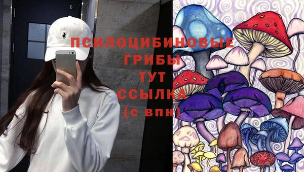 дживик Алексеевка